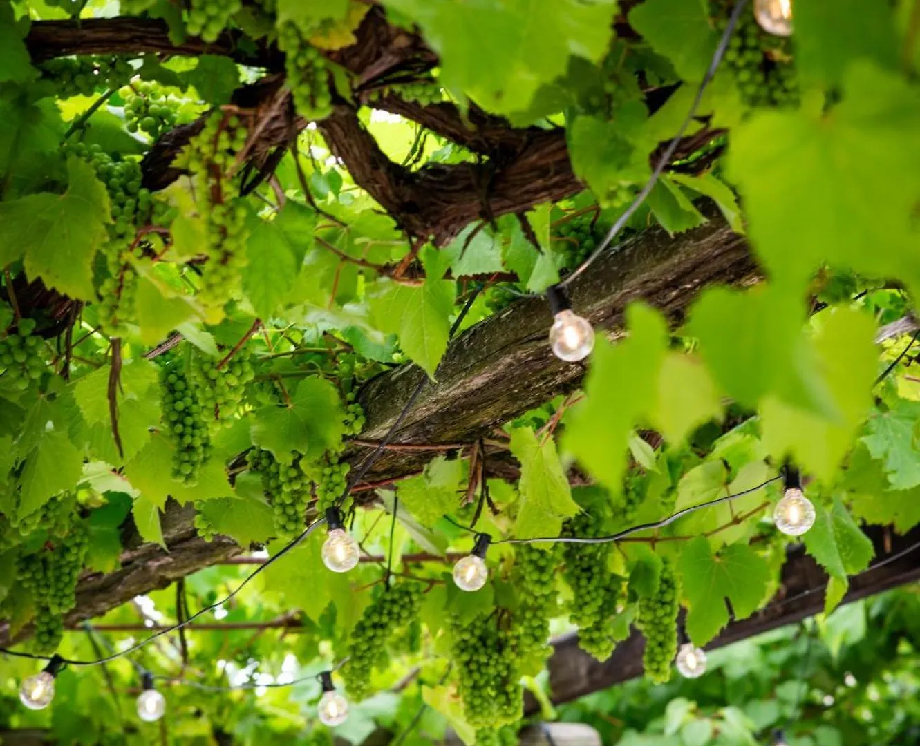 Locanda Al Convento Favaro Veneto 0*,  Italia